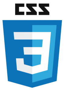 CSS-Logo-214x300